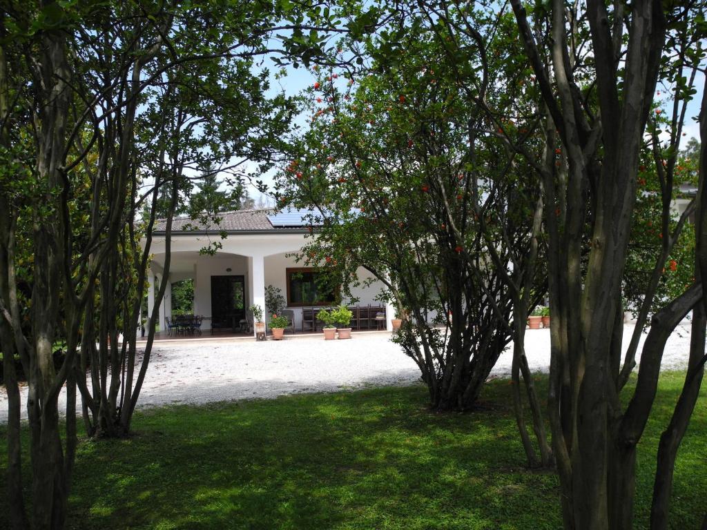 B&B Villa Miani Silea Εξωτερικό φωτογραφία